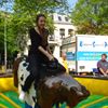 Western Rodeostier huren - Wild West Feest Rodeo Stier verhuur