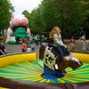 Western Rodeostier huren - Wild West Feest Rodeo Stier verhuur