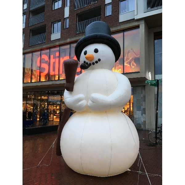 Sneeuwpop