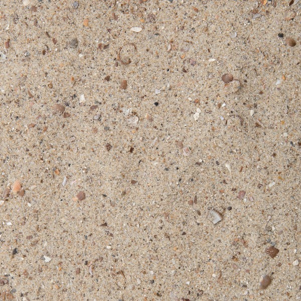 Strand of Zand: Graag het aantal opblaasbare attracties aangeven.