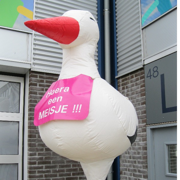 Ooievaar  1 benige