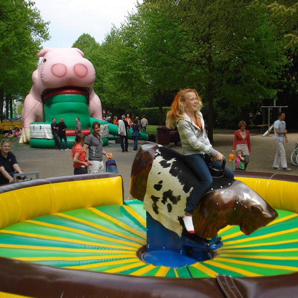 Western Rodeostier huren - Wild West Feest Rodeo Stier verhuur